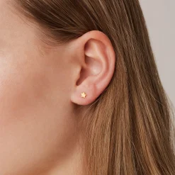 PAVOI Studs-Astral Studs