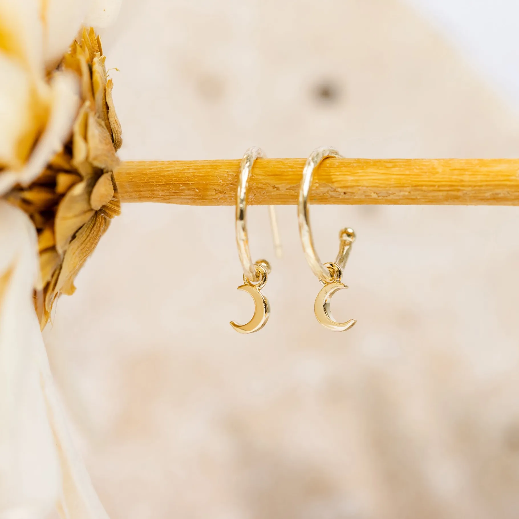 PAVOI Dangle & Threader|Hoops-Drop Moon Hoops