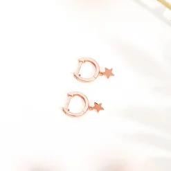 PAVOI Dangle & Threader|Huggies-Drop Star Huggies