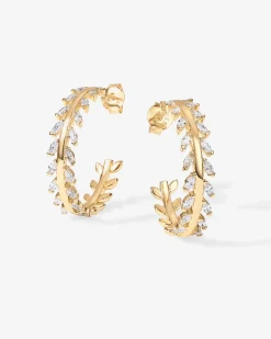 PAVOI Hoops-Eve Hoop Earrings