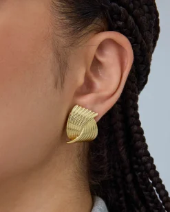 PAVOI Statement|Studs-Fan Studs