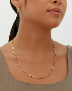 PAVOI Chains-Paperclip Chain Necklace