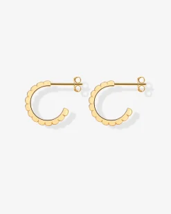 PAVOI Hoops-Ridges Ribbed