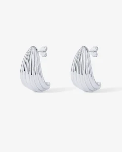 PAVOI Statement|Studs-Seashell Stud Earrings