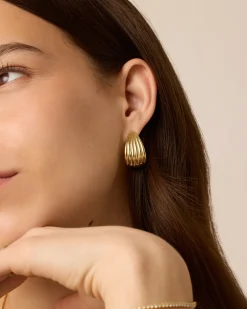 PAVOI Statement|Studs-Seashell Stud Earrings