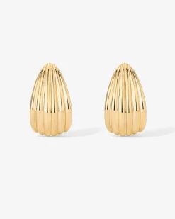 PAVOI Statement|Studs-Seashell Stud Earrings