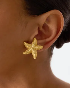 PAVOI Statement|Studs-Starfish Statement Earrings