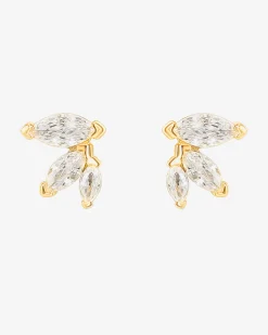 PAVOI Studs-Trill Studs