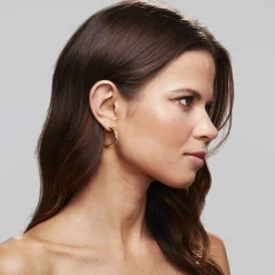 PAVOI Vermeil Earrings-Vermeil Round Chunky Hoops